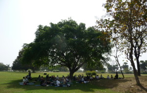 ナーランダー (1-)