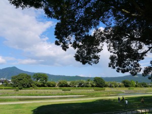 今宮神社20120819 (41-)